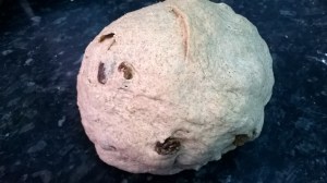 Cinnamon and Rasin Bagel