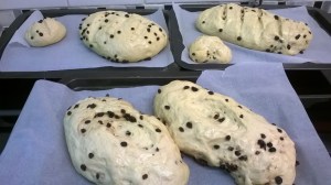 ready to go in the oven